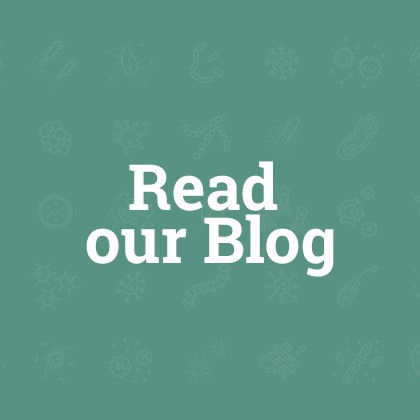 Read our Blog
